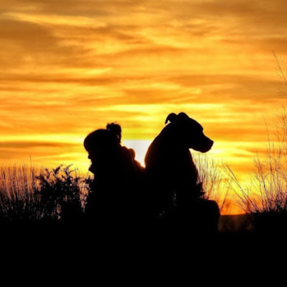 Meet your Posher, Jen - Picture 1 of 3